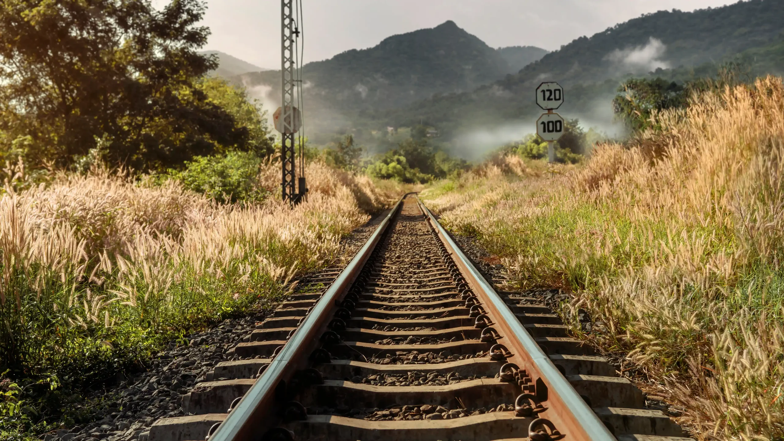 Contact-banner