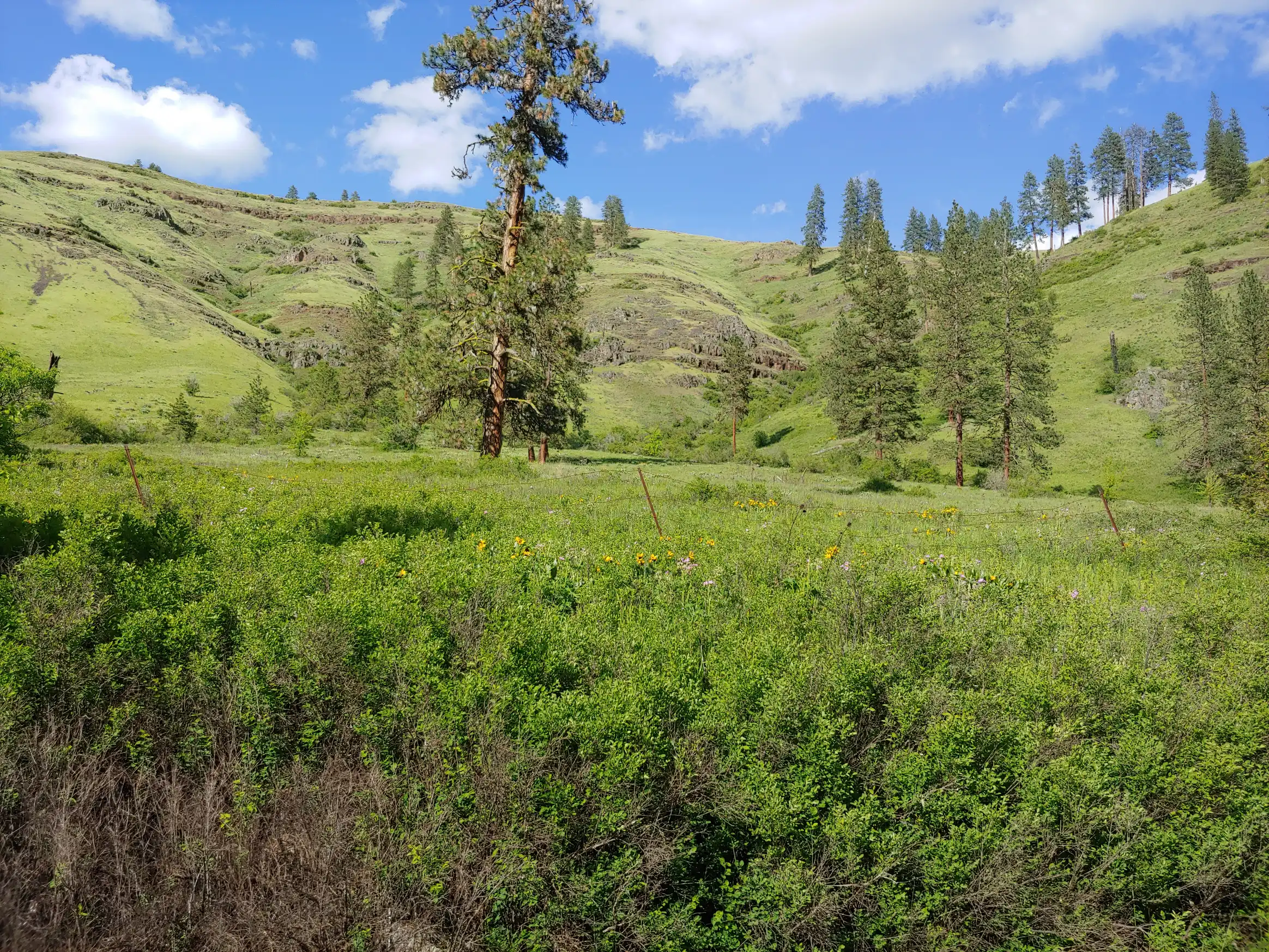 gallery river image 5