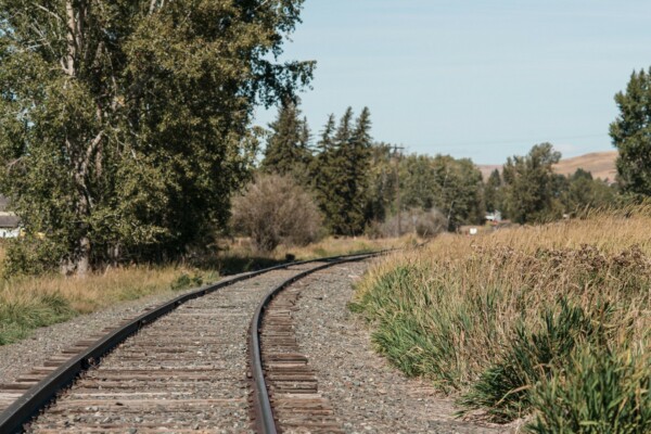Follow us for the rail less followed and leave all your worries behind! Adventure awaits! 🛤️Stay connected for the latest events, specials and fun follow us josephbranchrailriders
📍: wallowacounty
🗺️: easternoregon